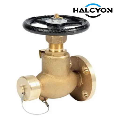 JIS 5K Bronze Hose Globe Valve